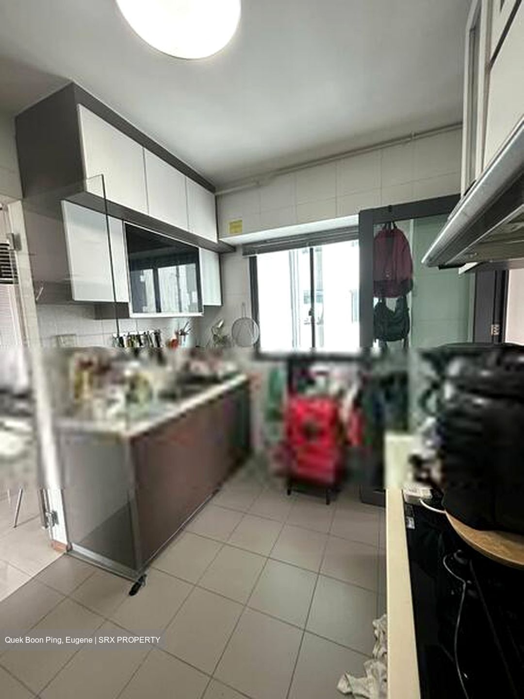 Blk 1B The Pinnacle@Duxton (Bukit Merah), HDB 5 Rooms #489660211